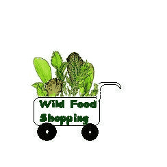 wild food