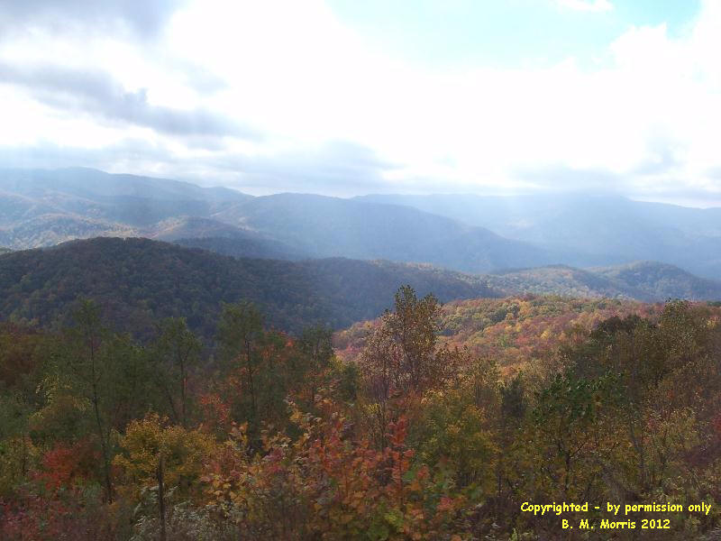 Wild Pantry Mother Nature S Super Store Serving Wild Foraged Foods